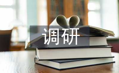 包装假想调研