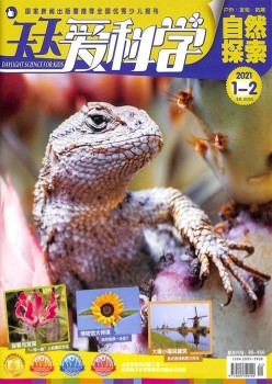 每天爱迷信杂志