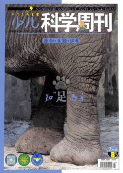 少儿迷信周刊杂志