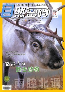 天然暗码杂志