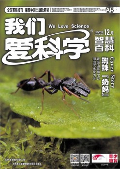 咱们爱迷信杂志