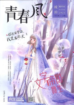 芳华风杂志