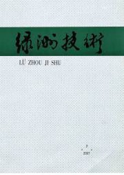 绿洲手艺杂志