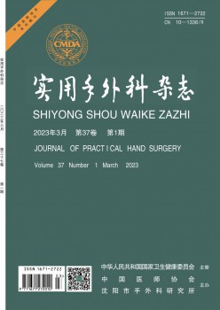 适用手内科杂志
