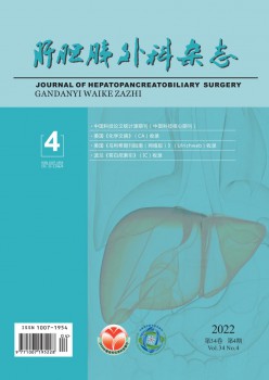 肝胆胰内科杂志