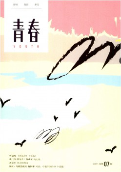 芳华杂志