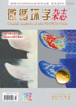 微轮回学杂志