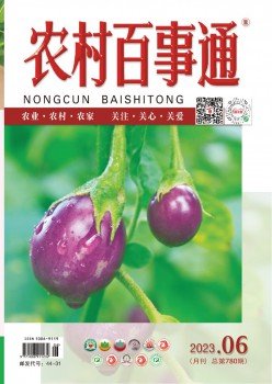 乡村百事通杂志