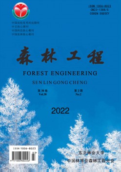 丛林工程杂志