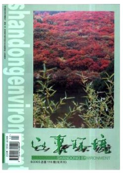 山东情况杂志