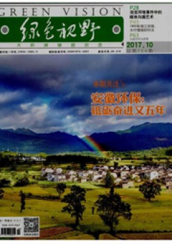 绿色视线杂志