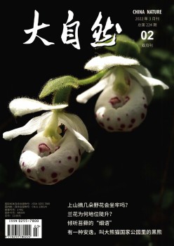 大天然杂志
